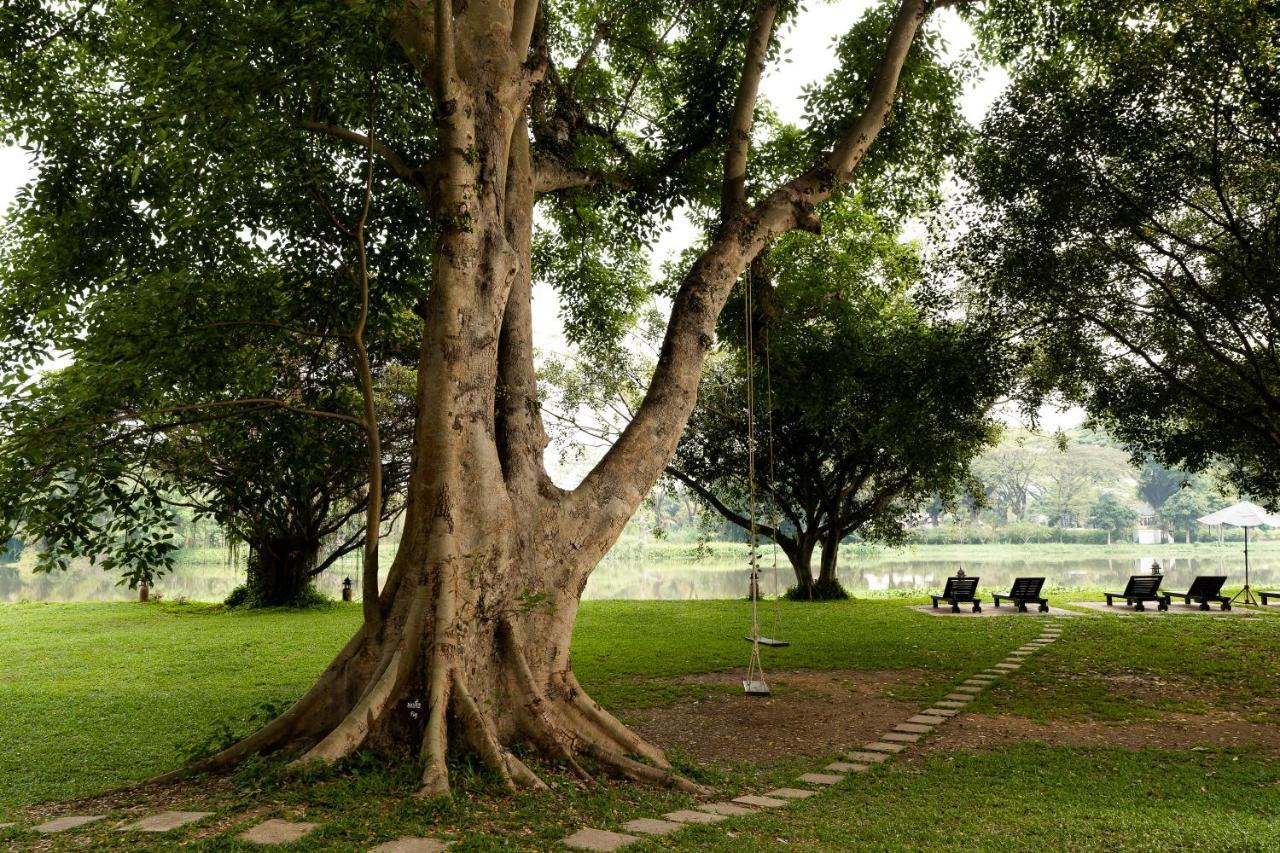 The Legend Chiang Rai Boutique River Resort & Spa Eksteriør billede